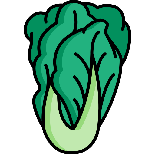 Vegetables icon